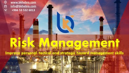 Risk Management for Industrial Process Plant
